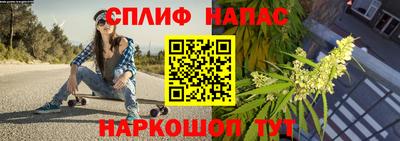 сатива Волгодонск