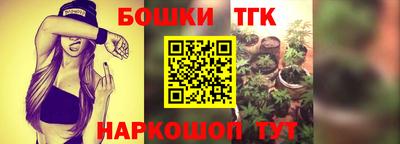 сатива Волгодонск