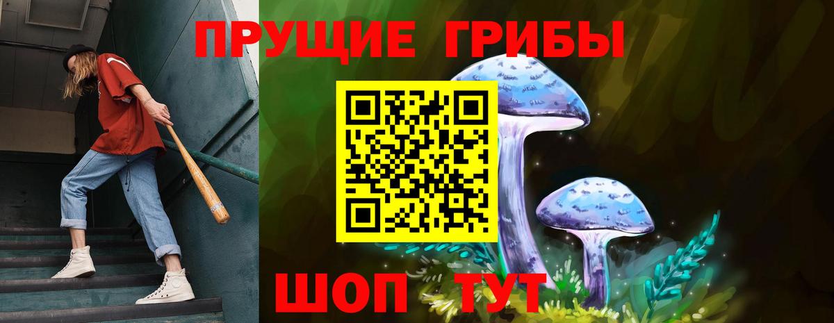 Псилоцибиновые грибы MAGIC MUSHROOMS  Галлюциногенные грибы Cubensis  Чистополь  Вход с VPN 